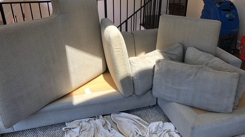 Getting your upholstery professionally cleaned