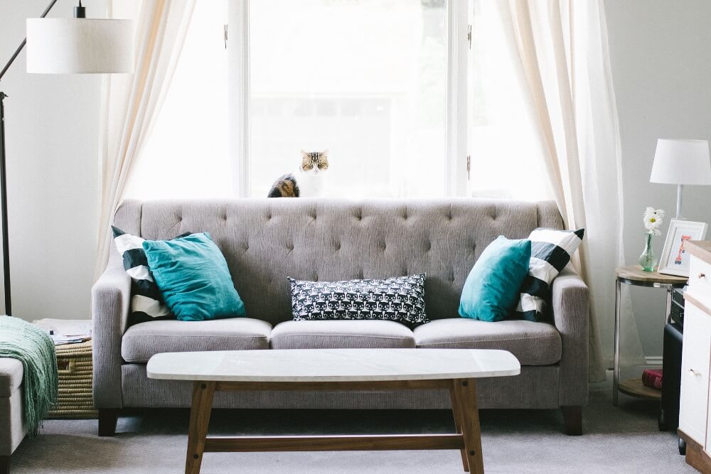 Why upholstery cleaning isn’t just for your grandma’s sofa