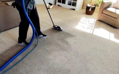 Horror story takeaways: How to clean a carpet