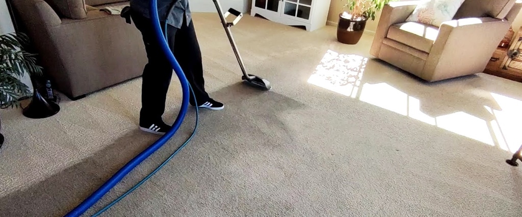 How to Clean a Carpet