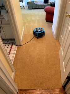 What can I use to clean my carpet?