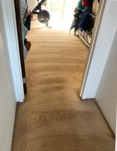 How to deep clean a carpet