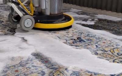 3 stories that will convince you to get your area rug cleaned by a professional