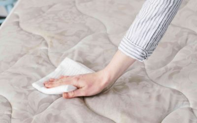 Fido, no! How to clean pet urine from a mattress