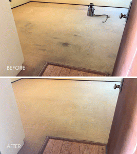 Restoration Carpet