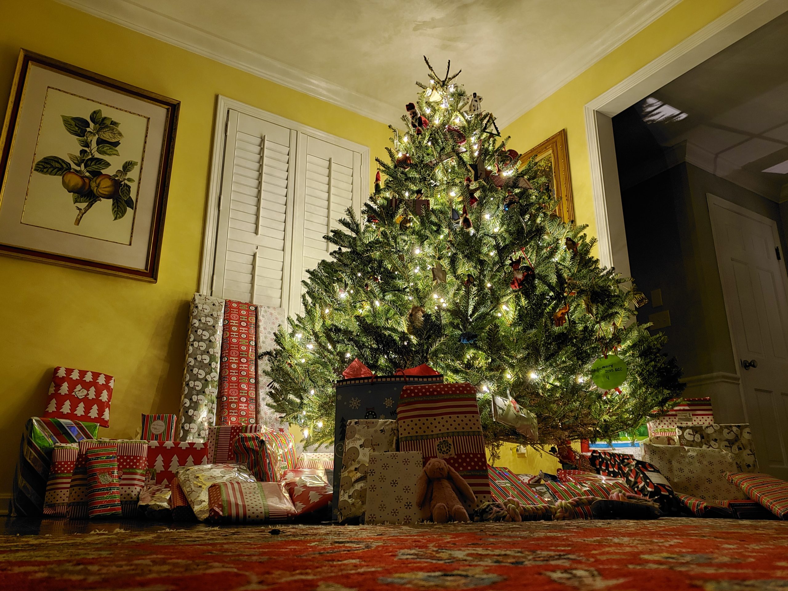 holiday carpet cleaning marin county