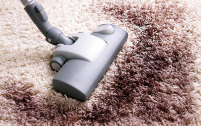 Area Rug Cleaning: Cost, Services, Resources, and More