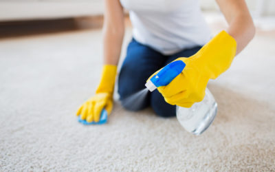 Natural Carpet Cleaning: An In-Depth Guide for Eco-Conscious Homeowners