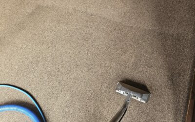 The Sticky Truth about Glued Down Carpeting