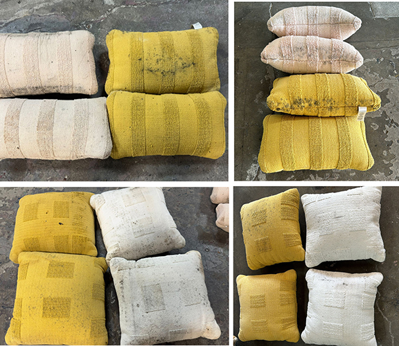 Cushions Treated for Mold before and after cleaning