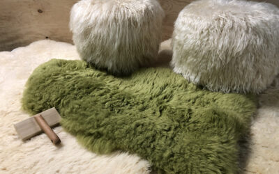 Cleaning Sheepskins, Flokatis and Other Animal Hides